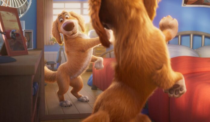 Owen Wilson as Charlie the Wonderdog - Courtesy of Icon Creative Studios and CMG