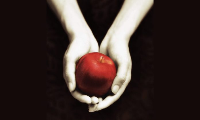 Twilight book cover art