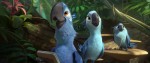 Rio 2