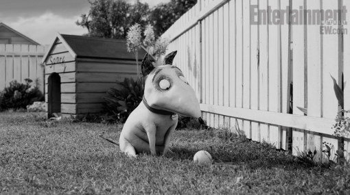 Frankenweenie